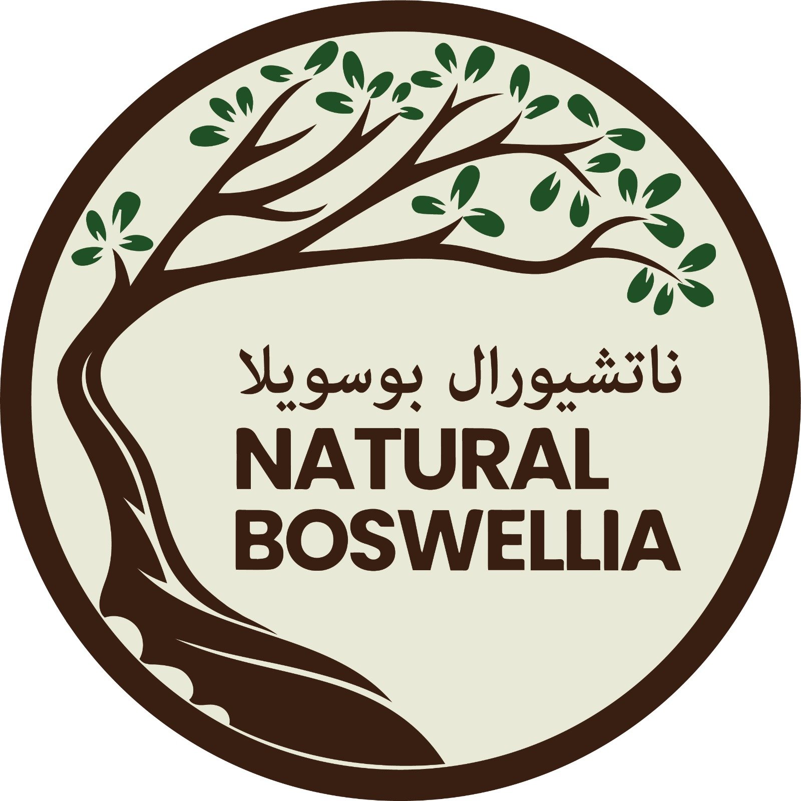 Partner Logo